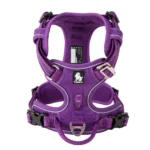 Lavender No Pull Harness