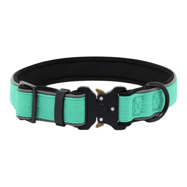 Cyan Ultralight Dog Collar
