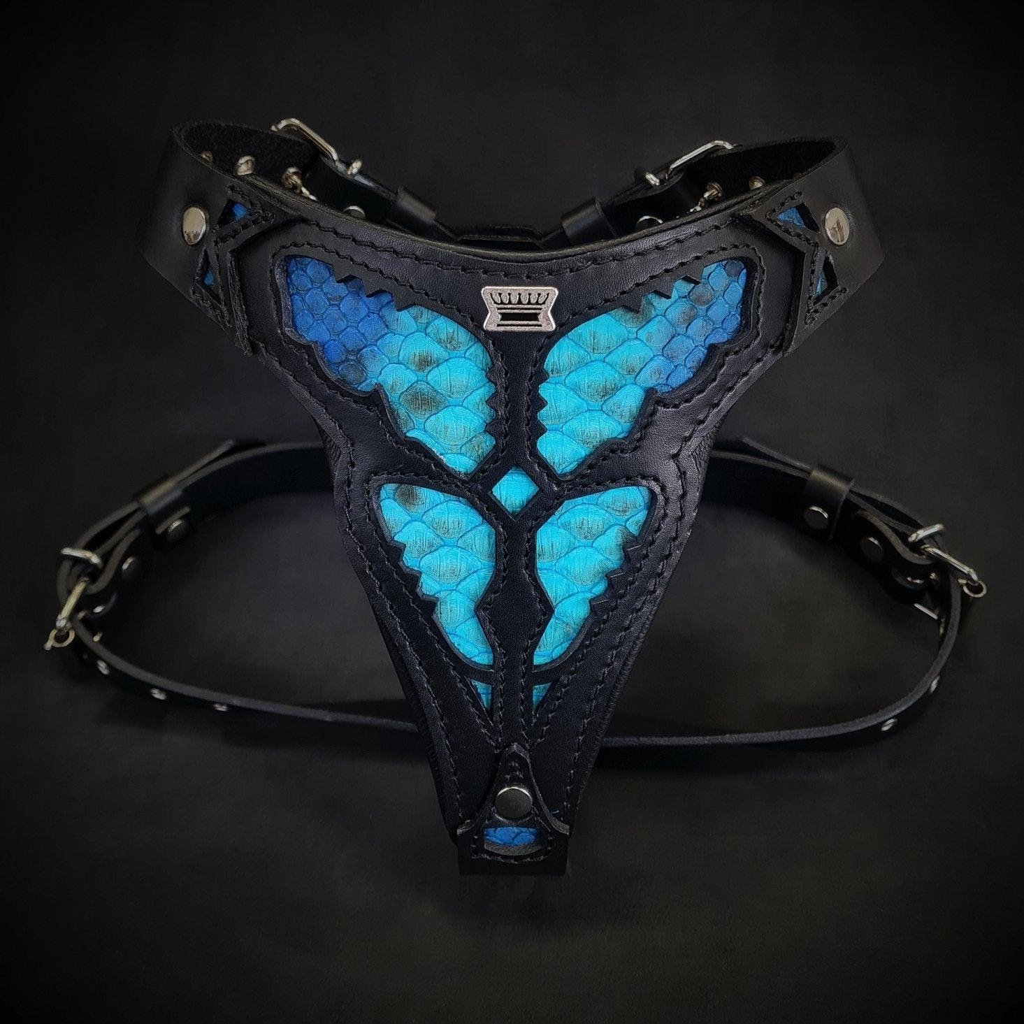 morelia-python-harness-medium-size-338855.jpg The ''Morelia Python'' harness Medium Size - Image 1