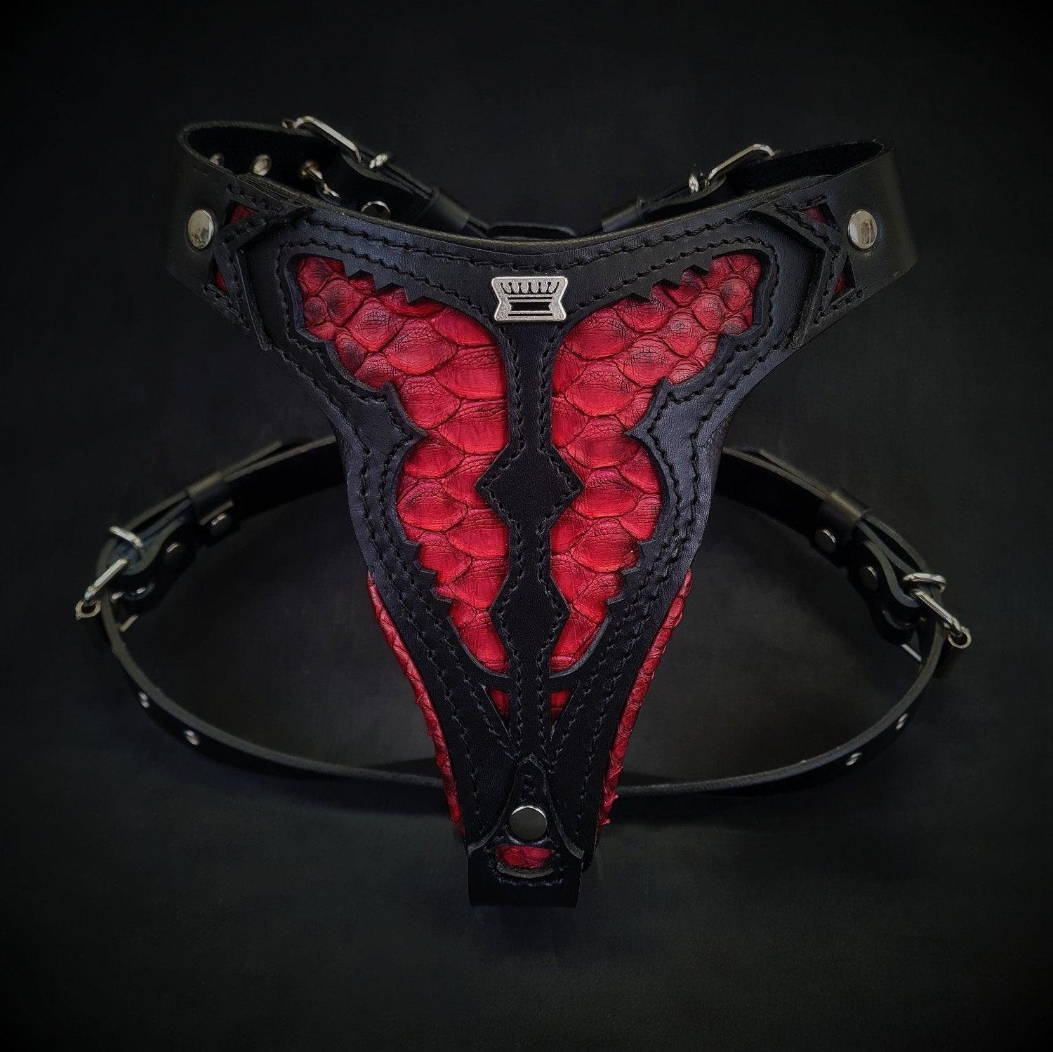 red-dragon-harness-medium-size-202439.jpg The ''Red Dragon'' harness Medium Size - Image 1