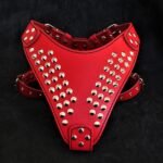 "Star" harness - Image 5