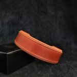 "Stylish" 2 inch wide dog collar - Image 8