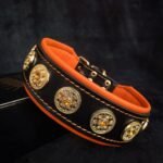 The "Bijou" collar orange
