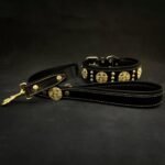 The "Maximus" collar 2.5 inch wide black & gold - Image 2