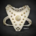 The ''Maximus'' harness White & Gold Small to Medium Size - Image 2