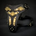 The ''Midas'' leather dog harness gold - Image 2