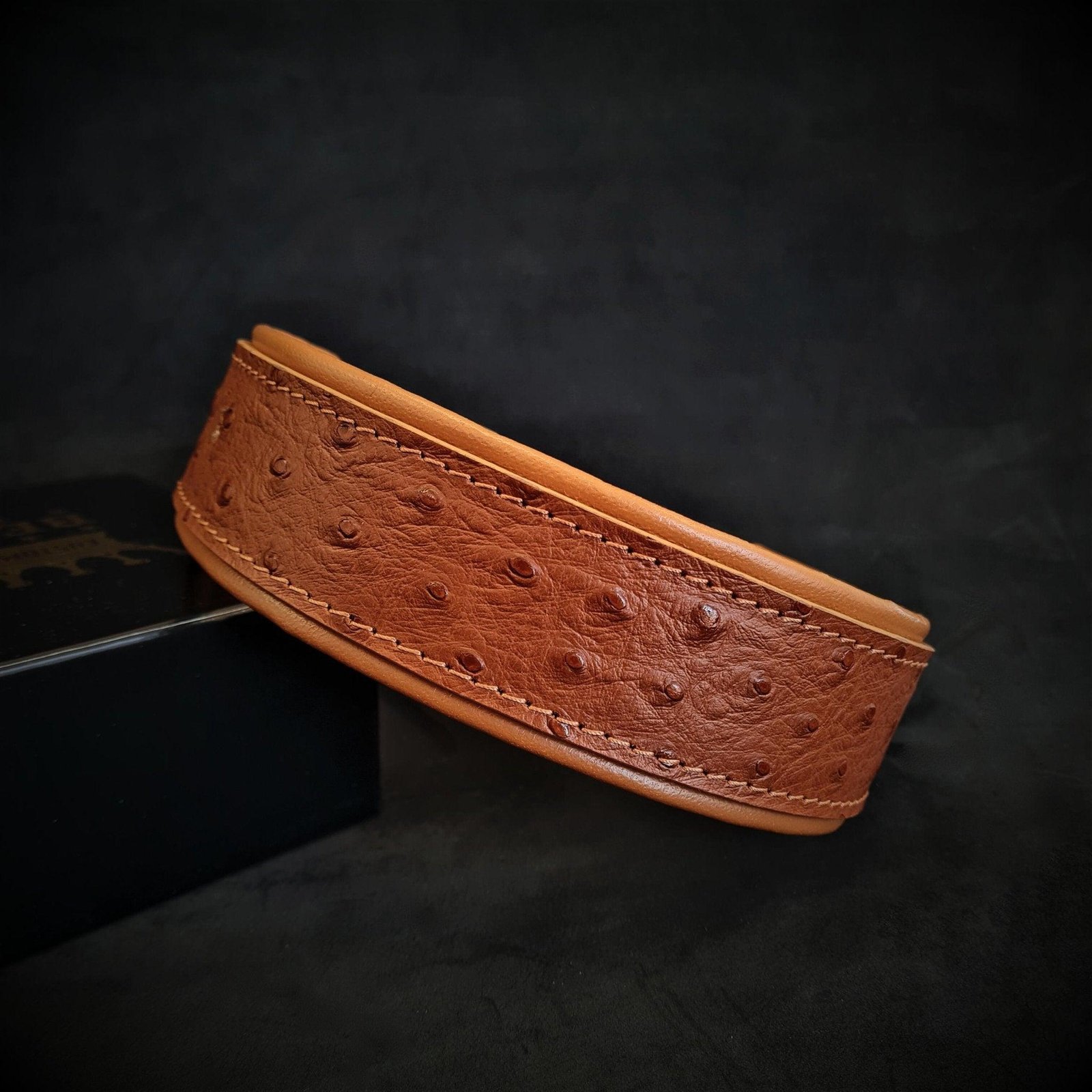 the-ostrich-collar-limited-531422.jpg The "Ostrich" collar LIMITED - Image 1