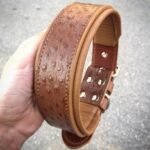 The "Ostrich" collar LIMITED - Image 2