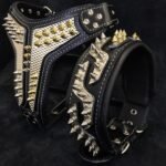 The ''Platinum'' collar - Image 3