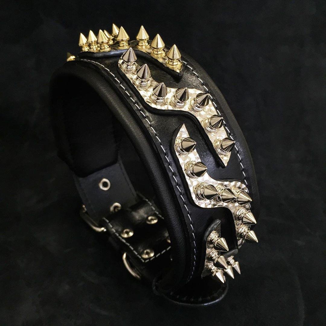the-platinum-collar-452227.jpg The ''Platinum'' collar - Image 1