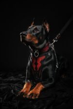 The ''Red Dragon'' collar - Image 3