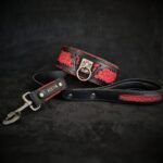 The ''Red Dragon'' leash - Image 2