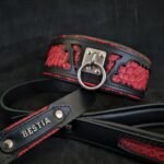The ''Red Dragon'' leash - Image 4