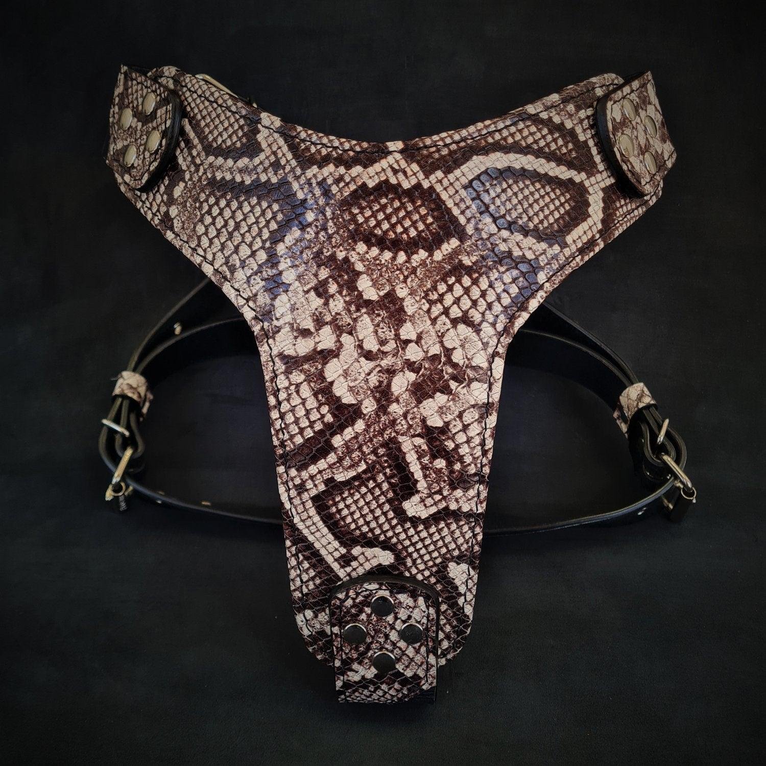 the-rock-python-harness-524173.jpg The ''Rock Python'' harness - Image 1