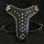 The "Rocky" studded leather harness Small to Medium Size - Image 7