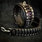 The "Steampunk" leash - Image 2