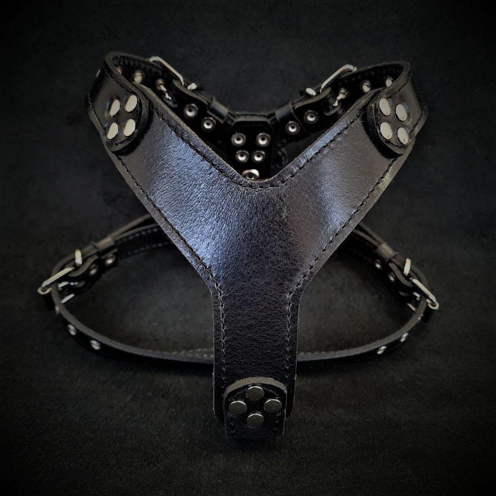 the-style-harness-black-small-to-medium-size-793543.jpg The ''Style'' harness Black Small to Medium Size - Image 1