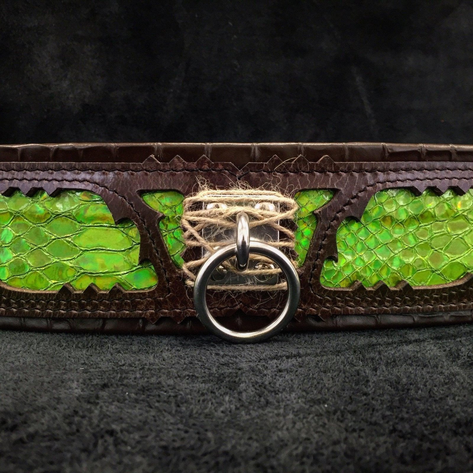 the-venom-collar-668419.jpg The ''Venom'' collar - Image 1