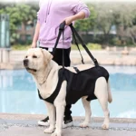 Adjustable Dog Lift Harness with Comfort Support Sling for Mobility Assistance - Image 4