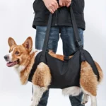 Adjustable Dog Lift Harness with Comfort Support Sling for Mobility Assistance - Image 3