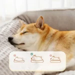 Warm Plush Dog & Cat House Bed with Washable Cushion - Image 3