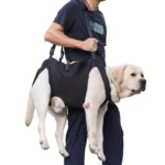 Adjustable Dog Lift Harness with Comfort Support Sling for Mobility Assistance - Image 6