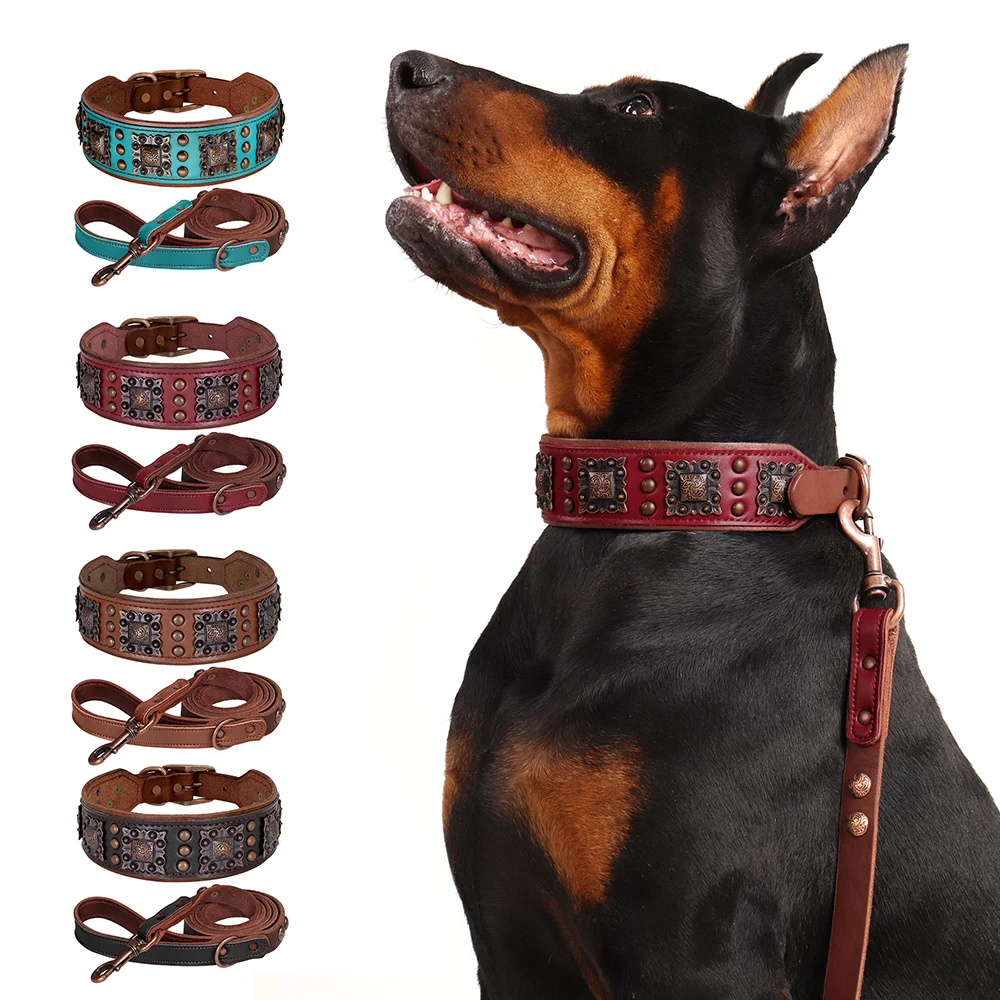 kf-S4f2f327357334b718a9c38926702bd95W Genuine Leather Padded Dog Collar & Leash Set with Heavy-Duty Metal Rivets - Image 1