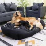 All-Season Dog Bed with Removable Cushion & Oxford Cover - Image 2