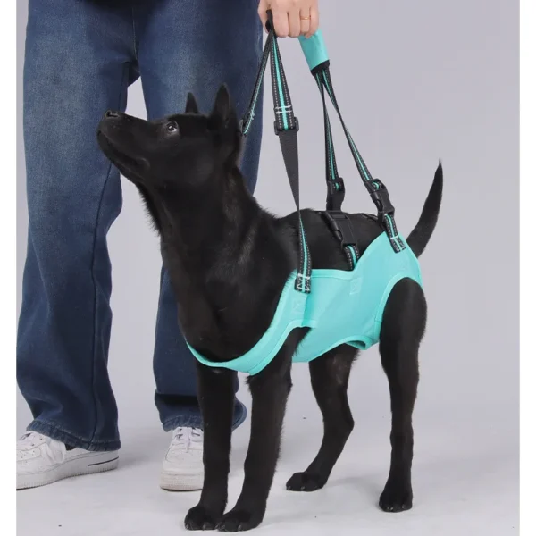 Adjustable Dog Lift Harness with Comfort Support Sling for Mobility Assistance