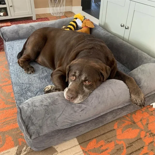 Extra Large Orthopedic Dog Bed with Removable Washable Cover
