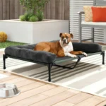 L-2XL Elevated Cooling Dog Bed with Breathable Mesh & Removable Bolster - Image 3
