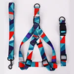 Adjustable Dog Harness, Collar & Leash Set with Colorful Patchwork Design - Image 2
