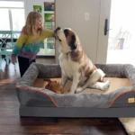 Jumbo Orthopedic Dog Bed with Memory Foam & Waterproof Cover - Image 3