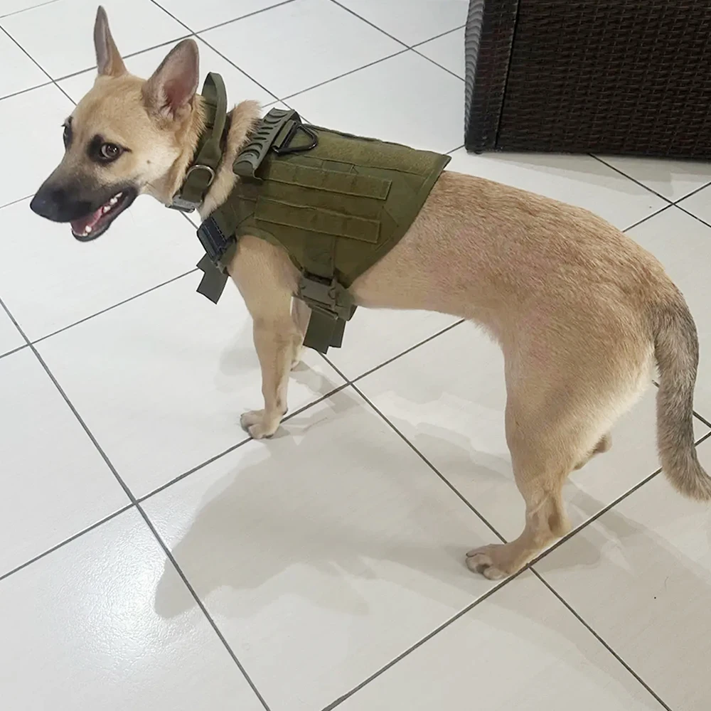 kf-Sd321d9cca7bc449f98215807035d7f91S Adjustable Tactical Dog Harness & Nylon Collar Set for Small to Large Dogs - Image 1