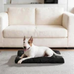 Chew-Resistant Dog Bed with Waterproof Washable Cover (Black, L-35*22in) - Image 7