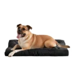 Chew-Resistant Dog Bed with Waterproof Washable Cover (Black, L-35*22in) - Image 6